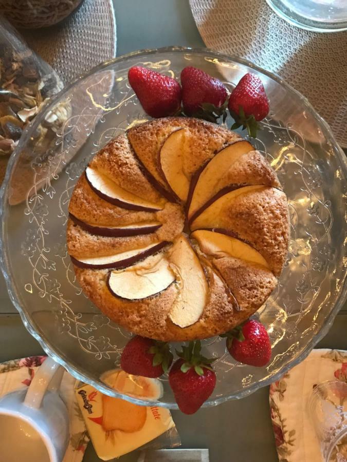 Bed And Breakfast La Bouganville Rosignano Marittimo Εξωτερικό φωτογραφία
